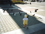 Ana_chasing_pigeons